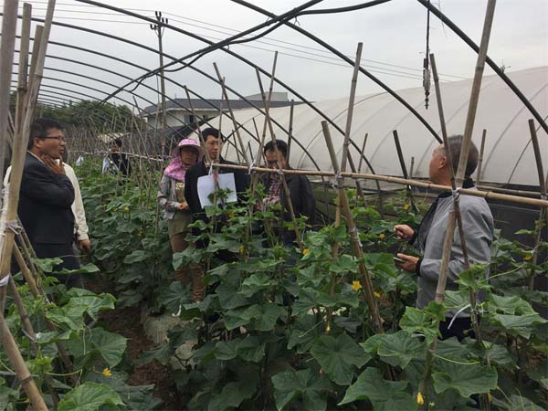 跨國種企六大優勢凸顯--中外種業在中國市場的競爭（二）